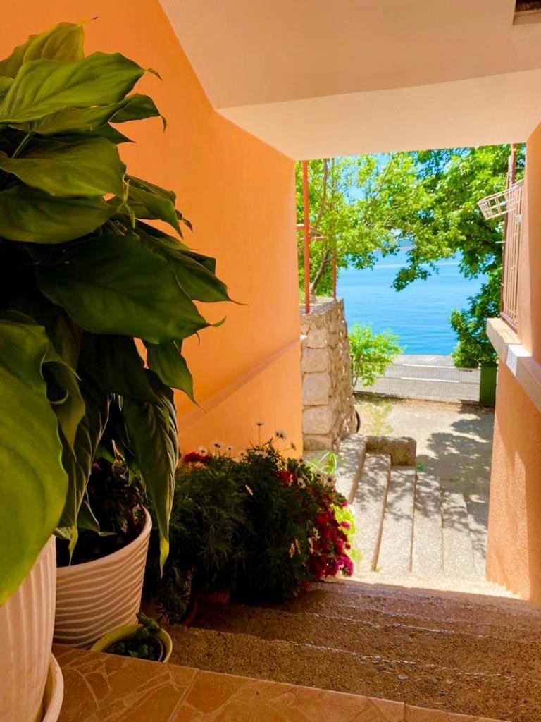 Porat Apartment Starigrad Paklenica Exterior photo